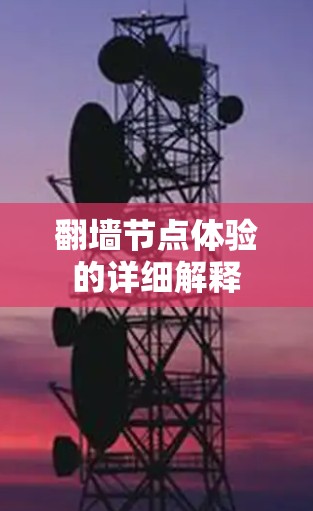 翻墙节点体验的详细解释
