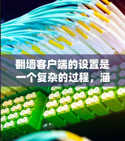 翻墙客户端的设置是一个复杂的过程，涵盖多个方面以确保安全、可用性和功能完善。以下是详细的设置说明
