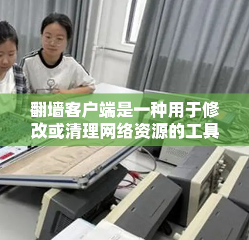 翻墙客户端是一种用于修改或清理网络资源的工具，主要包括自动复制、手动复制、手动删除等功能。以下是一些热门的翻墙客户端推荐，供您参考