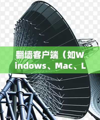 翻墙客户端(如Windows、Mac、Linux等)的智能优化主要通过优化硬件资源、软件优化、网络连接和系统管理等方面来提升其性能和效率。以下是关于翻墙客户端智能优化的详细 breakdown 翻墙客户端(如Windows、Mac、Linux等)的智能优化主要通过优化硬件资源、软件优化、网络连接和系统管理等方面来提升其性能和效率。以下是关于翻墙客户端智能优化的详细 breakdown
