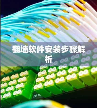 翻墙软件安装步骤解析