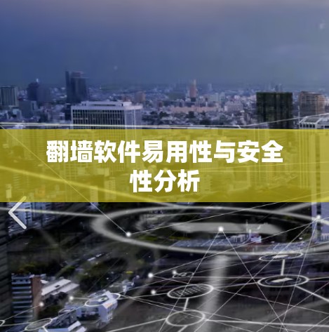 翻墙软件易用性与安全性分析 翻墙软件易用性与安全性分析