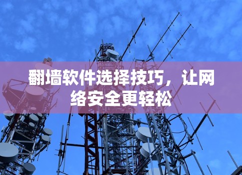 翻墙软件选择技巧，让网络安全更轻松