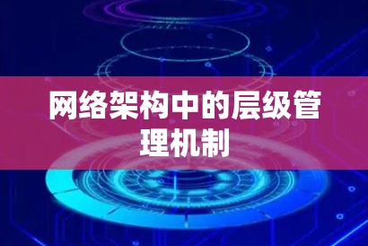 网络架构中的层级管理机制