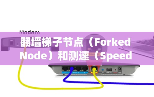 翻墙梯子节点（Forked Node）和测速（Speed Testing）是网络测试中的两个重要概念。以下是对这两个概念的详细解释和解决方案
