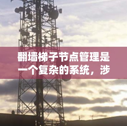 翻墙梯子节点管理是一个复杂的系统，涉及多个步骤和规则，用于控制和管理IP地址。以下是对翻墙梯子节点管理的详细说明