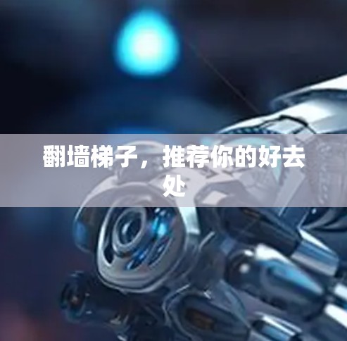 翻墙梯子,推荐你的好去处 翻墙梯子,推荐你的好去处