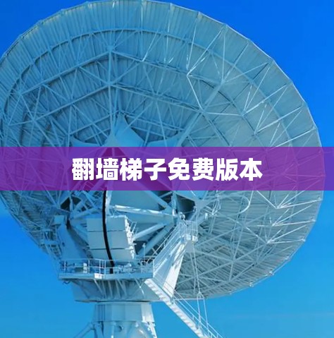 翻墙梯子免费版本 翻墙梯子免费版本