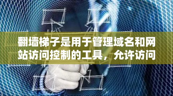 翻墙梯子是用于管理域名和网站访问控制的工具，允许访问者通过中间平台访问目标网站。以下是详细的信息