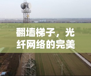 翻墙梯子,光纤网络的完美解决方案 翻墙梯子,光纤网络的完美解决方案