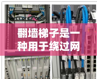 翻墙梯子是一种用于绕过网络防火墙的工具，帮助用户访问未被封禁的网络资源。以下是对翻墙梯子的详细分析和使用指南
