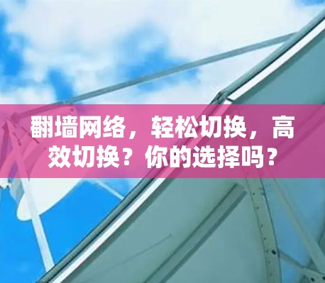 翻墙网络,轻松切换,高效切换?你的选择吗? 翻墙网络,轻松切换,高效切换?你的选择吗?