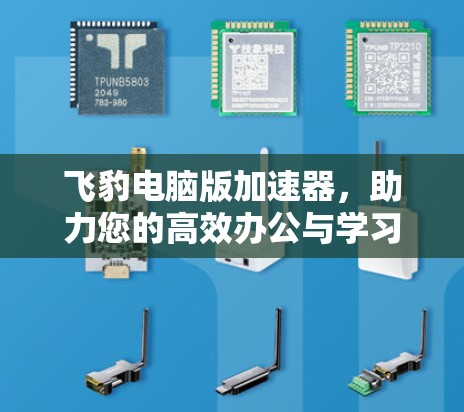 飞豹电脑版加速器,助力您的高效办公与学习 飞豹电脑版加速器,助力您的高效办公与学习