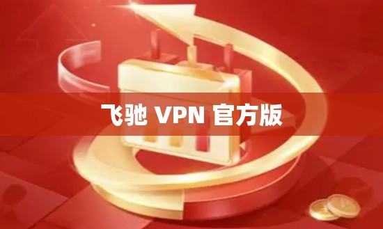 飞驰 VPN 官方版 飞驰 VPN 官方版