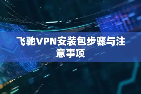 飞驰VPN安装包步骤与注意事项