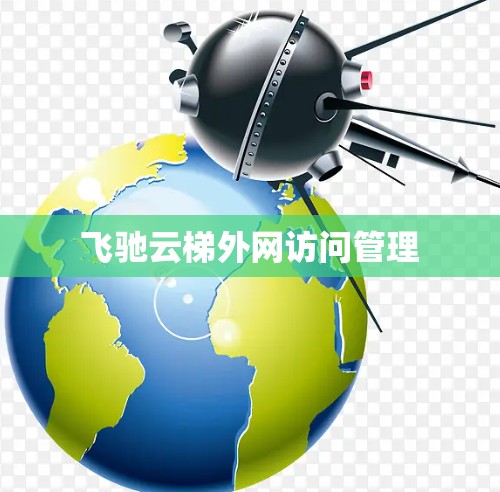 飞驰云梯外网访问管理