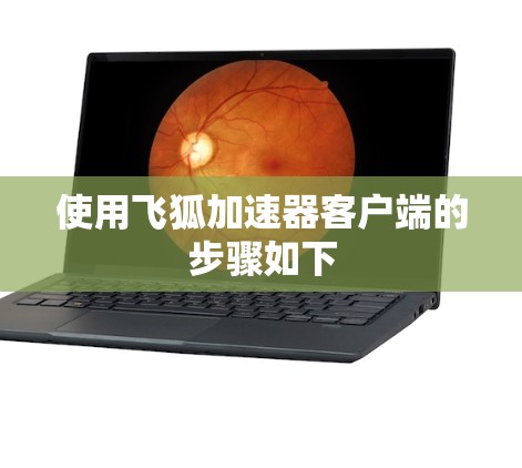 使用飞狐加速器客户端的步骤如下