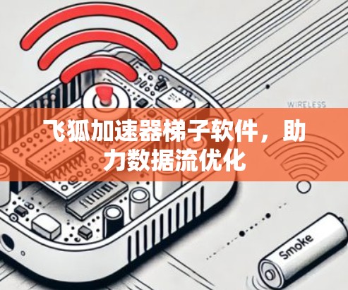 飞狐加速器梯子软件，助力数据流优化