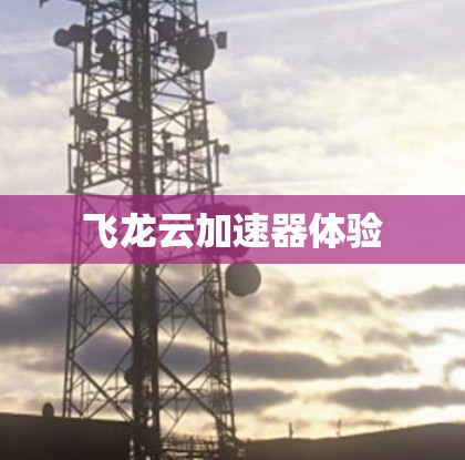 飞龙云加速器体验