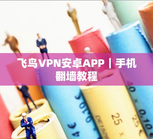 飞鸟VPN安卓APP|手机翻墙教程 飞鸟VPN安卓APP|手机翻墙教程