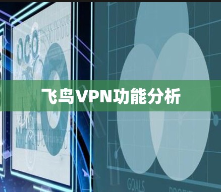 飞鸟VPN功能分析 飞鸟VPN功能分析