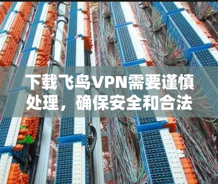 下载飞鸟VPN需要谨慎处理，确保安全和合法。以下是一步步的建议