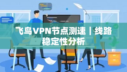 飞鸟VPN节点测速|线路稳定性分析 飞鸟VPN节点测速|线路稳定性分析