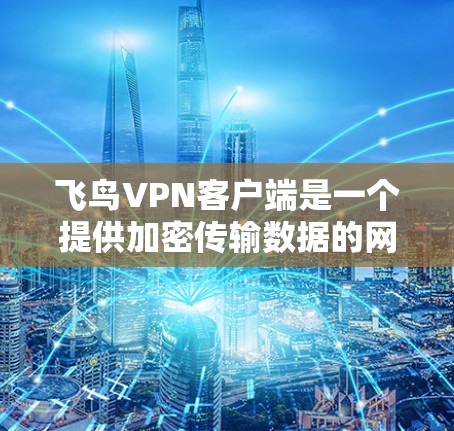 飞鸟VPN客户端是一个提供加密传输数据的网络服务，旨在保护用户的信息安全。以下是对该产品的详细介绍