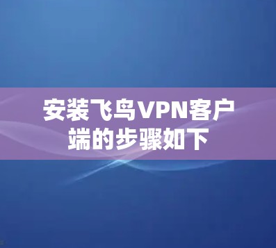 安装飞鸟VPN客户端的步骤如下