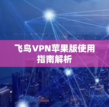 飞鸟VPN苹果版使用指南解析
