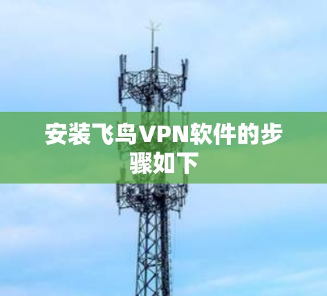 安装飞鸟VPN软件的步骤如下