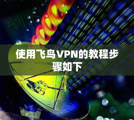 使用飞鸟VPN的教程步骤如下 使用飞鸟VPN的教程步骤如下