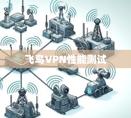 飞鸟VPN性能测试 飞鸟VPN性能测试