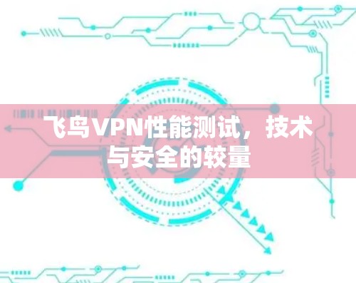 飞鸟VPN性能测试,技术与安全的较量 飞鸟VPN性能测试,技术与安全的较量