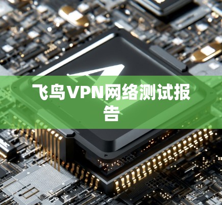 飞鸟VPN网络测试报告