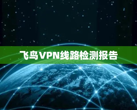 飞鸟VPN线路检测报告
