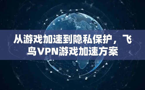 从游戏加速到隐私保护,飞鸟VPN游戏加速方案 从游戏加速到隐私保护,飞鸟VPN游戏加速方案