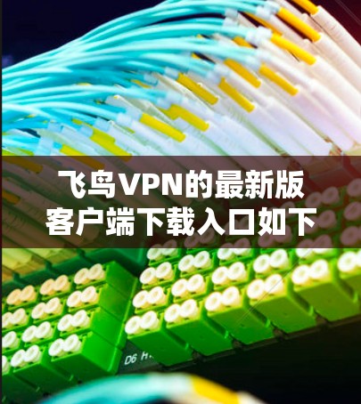 飞鸟VPN的最新版客户端下载入口如下