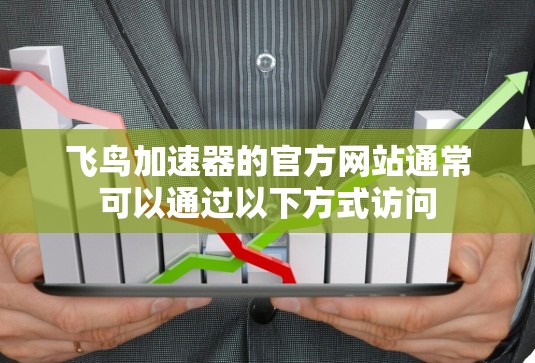 飞鸟加速器的官方网站通常可以通过以下方式访问