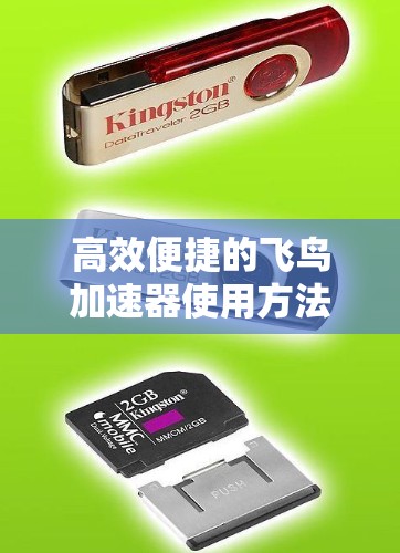 高效便捷的飞鸟加速器使用方法 高效便捷的飞鸟加速器使用方法