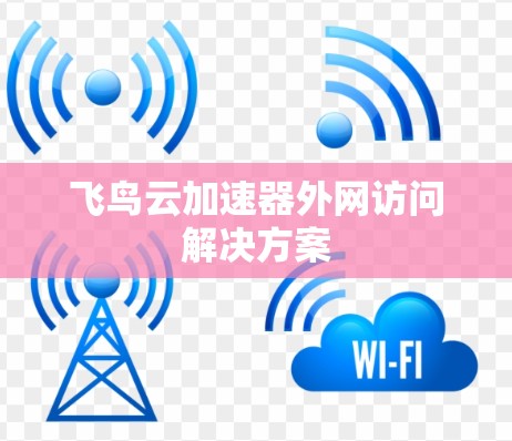 飞鸟云加速器外网访问解决方案