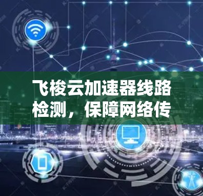 飞梭云加速器线路检测,保障网络传输速度的创新解决方案 飞梭云加速器线路检测,保障网络传输速度的创新解决方案