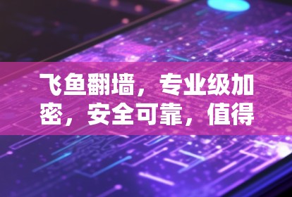 飞鱼翻墙，专业级加密，安全可靠，值得投资