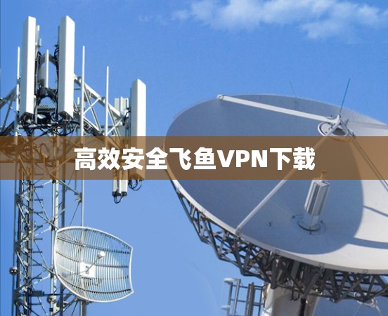 高效安全飞鱼VPN下载