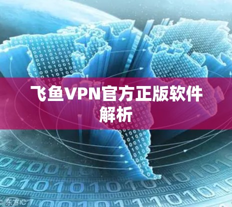 飞鱼VPN官方正版软件解析 飞鱼VPN官方正版软件解析