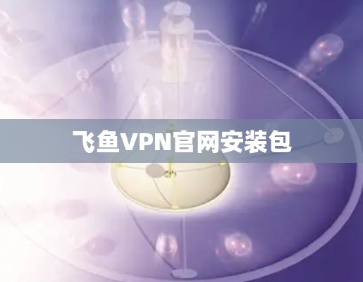飞鱼VPN官网安装包 飞鱼VPN官网安装包