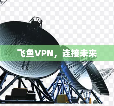 飞鱼VPN，连接未来