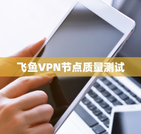 飞鱼VPN节点质量测试