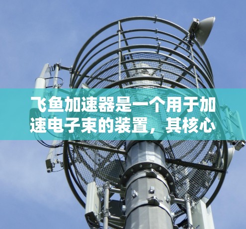 飞鱼加速器是一个用于加速电子束的装置，其核心原理基于磁场的分布和作用，通过洛伦兹力改变电子束的运动方向和速度。以下是关于飞鱼加速器的详细说明