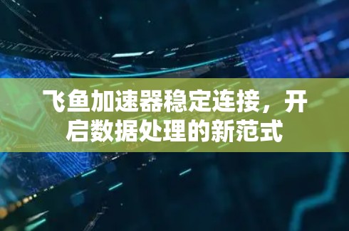 飞鱼加速器稳定连接，开启数据处理的新范式